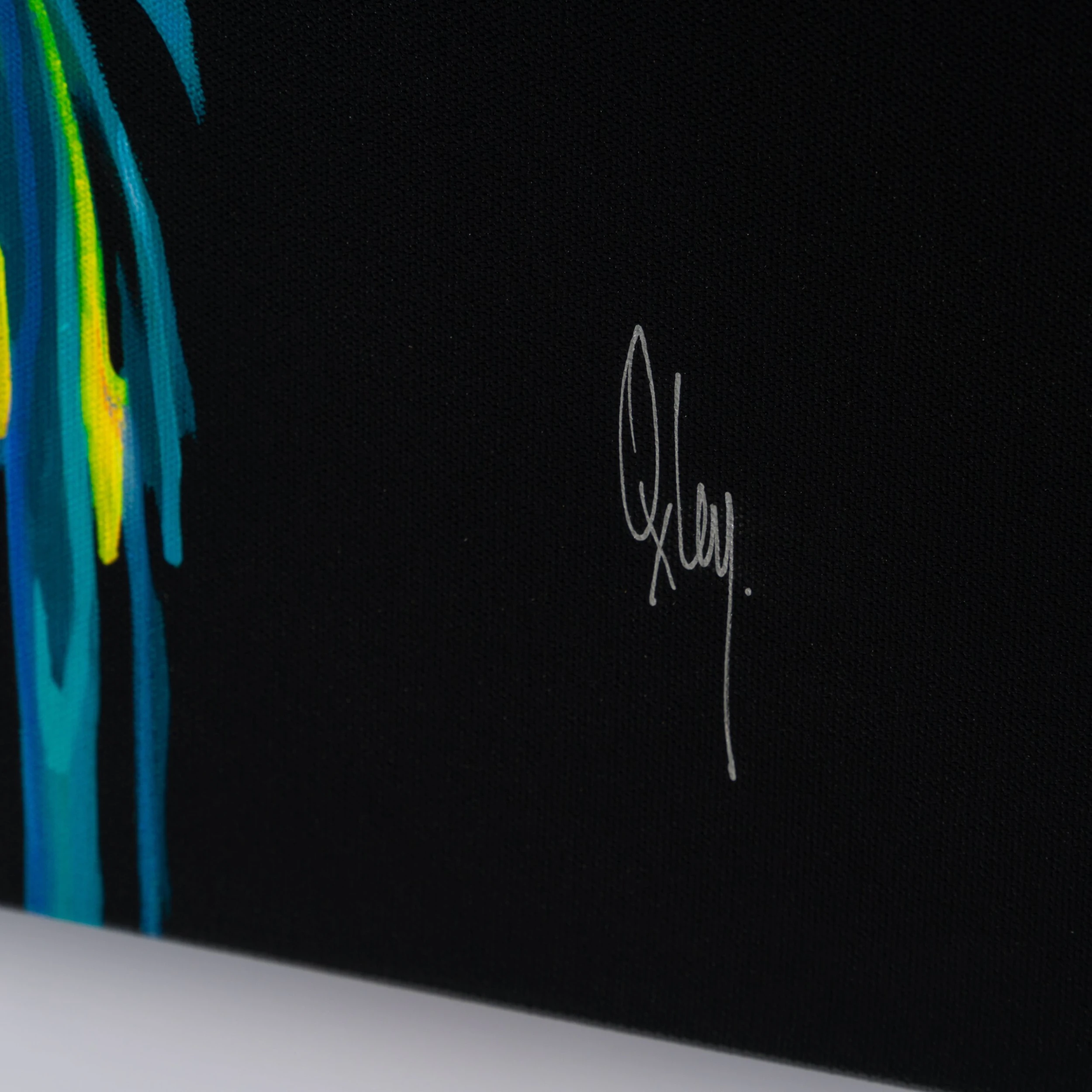 Triumph- Set Of Three 6 Triumph- Set Of Three - Image 6