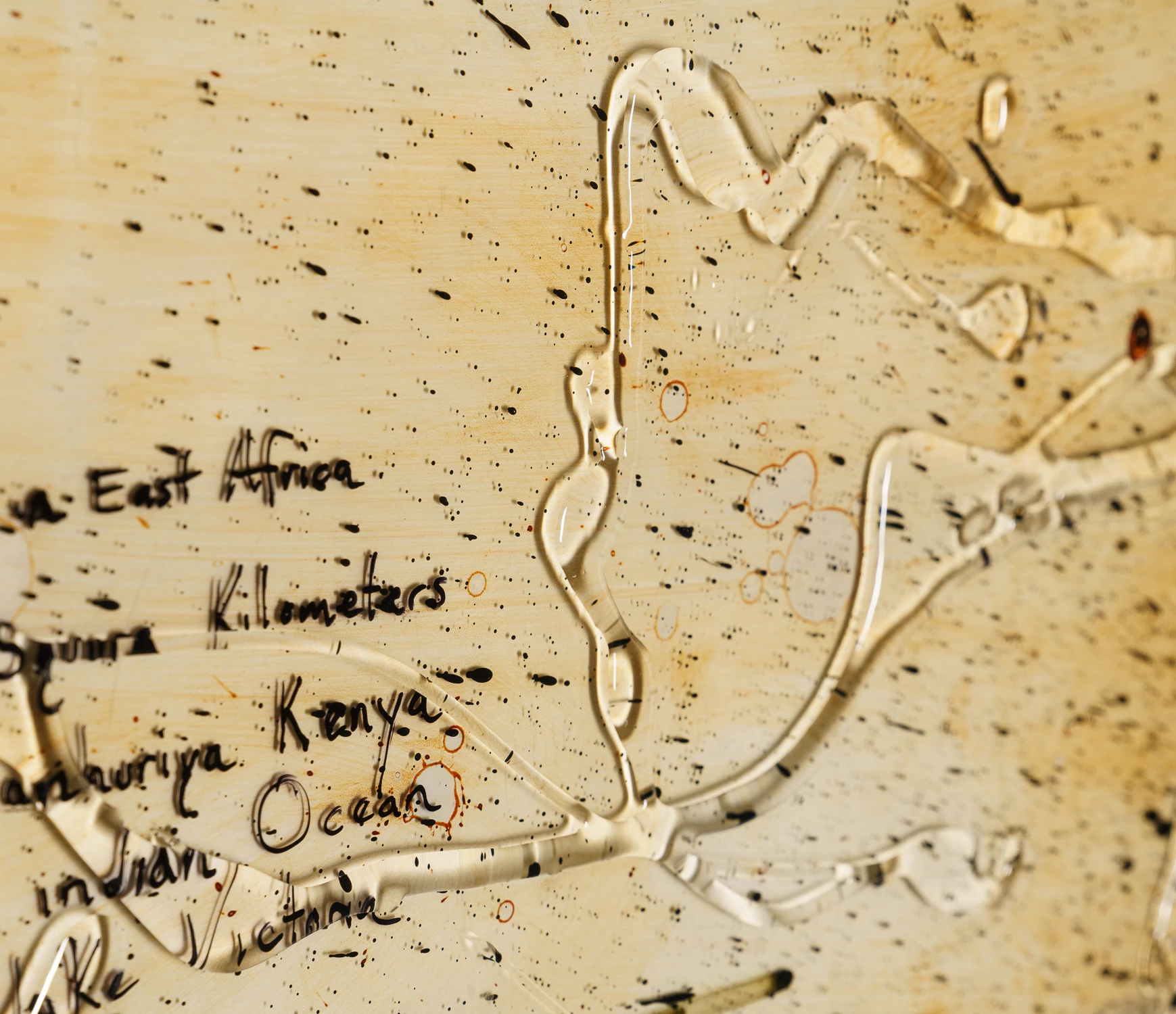 Pekee 5 Pekee - Image 5