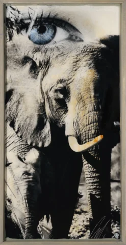 Tembo -Art Prints Shop MAZ ORI POR 28261 420Tembo