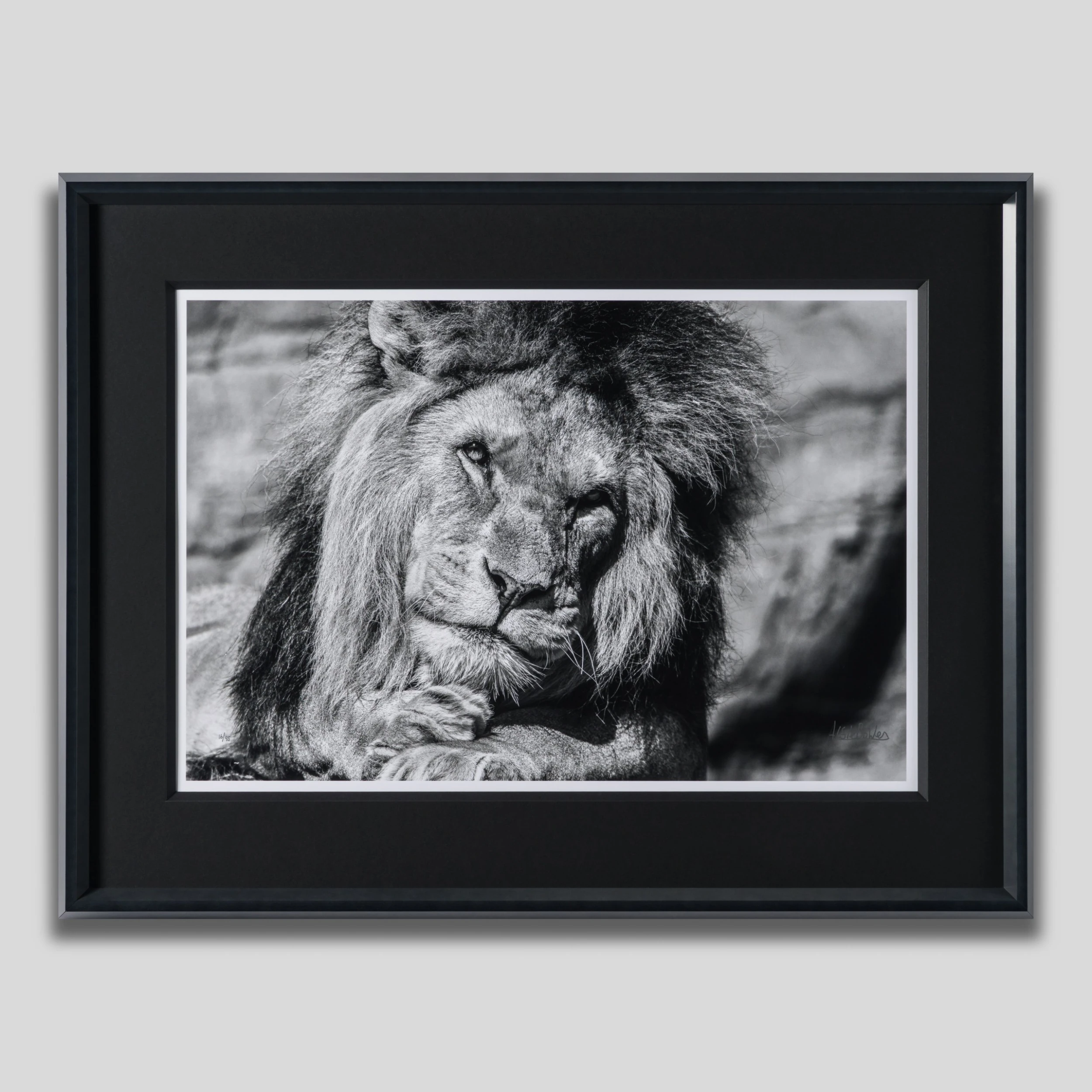 Sovereign 1 Sovereign