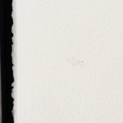 Birds On A Wire -Art Prints Shop bcn sle por 28480 4 birds on a wire 2023 03 17T14 32 50