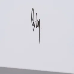 Summer 2023 - Set Of Three Boutiques (Large) -Art Prints Shop box basil large 3 2023 07 14T11 10 09