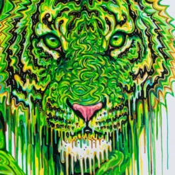 Basil - Boutique (Large) 14 Basil - Boutique (Large) -Art Prints Shop box basil large 6 2023 06 22T14 20 50