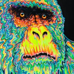 Faith 12 Faith -Art Prints Shop box ori wwl 29347 5 faith 2023 02 06T15 18 30