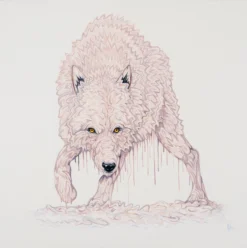 Luka -Art Prints Shop box ori wwl 30827 luka 30 2023 07 13T13 08 34