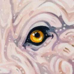 Luka -Art Prints Shop box ori wwl 30827 luka 4 2023 07 13T13 08 42