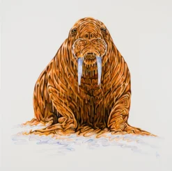 Chukchi -Art Prints Shop box ori wwl 30830 chukchi 30 2023 07 13T12 51 00