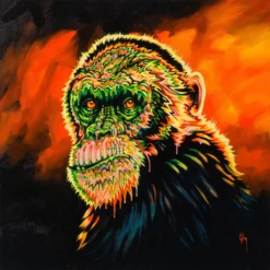 Basil Is A Gogo -Art Prints Shop box ori wwl 32325 basil is a gogo 30 2023 11 24T09 08 49