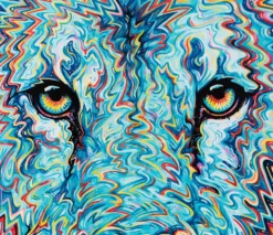 Phantasm -Art Prints Shop box sle wwl 26479 4 phantasm 2022 08 02T13 48 04