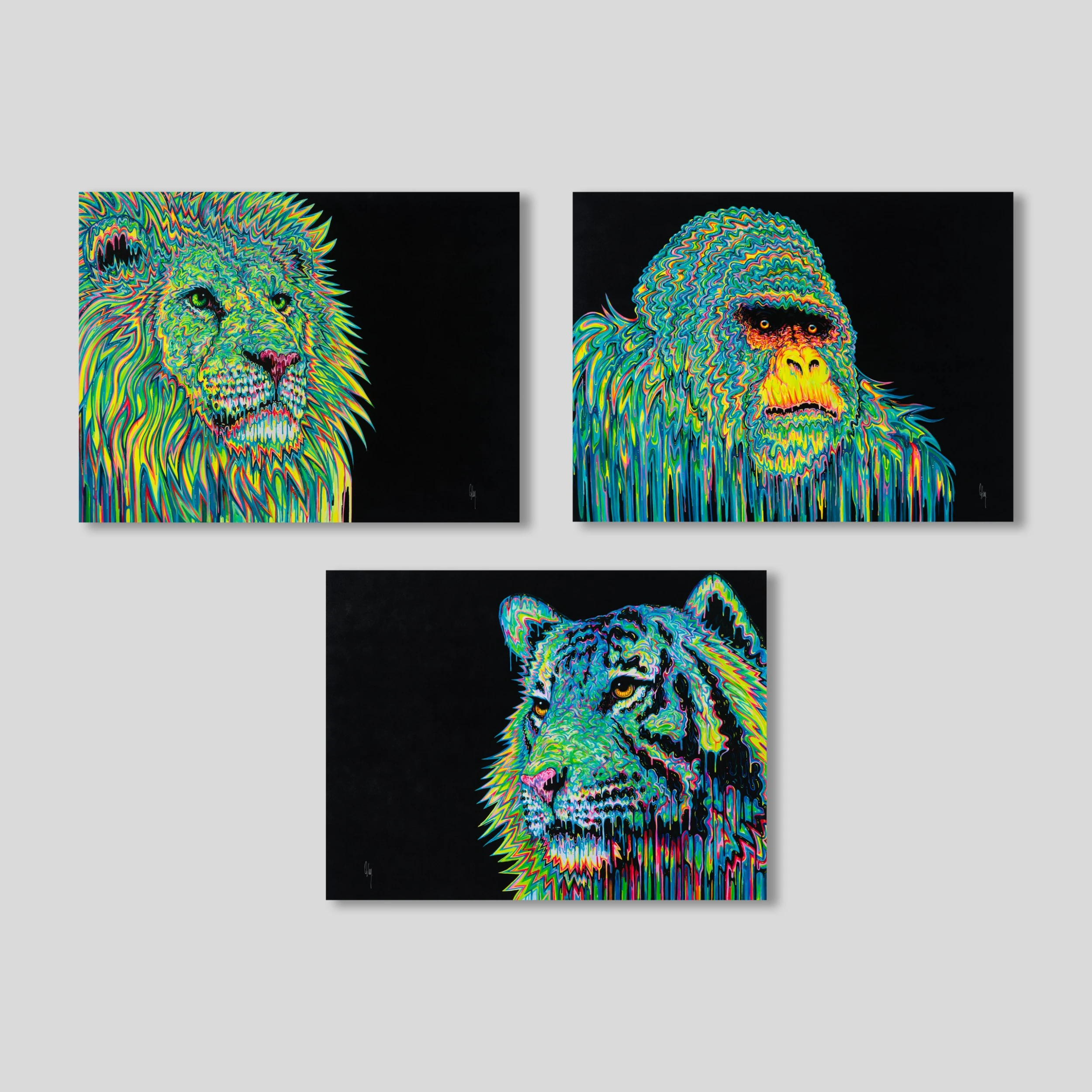 Triumph- Set Of Three 1 Triumph- Set Of Three