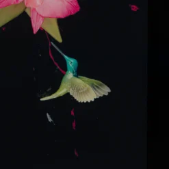 Money Only Goes So Far, Love Is Infinite 14 Money Only Goes So Far, Love Is Infinite -Art Prints Shop dln money only goes so far love is infinite 5 2023 10 13T14 55 51