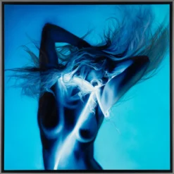 Overture 7 Overture -Art Prints Shop elp ori por 27653 4 vivace 2022 01 28T12 57 54