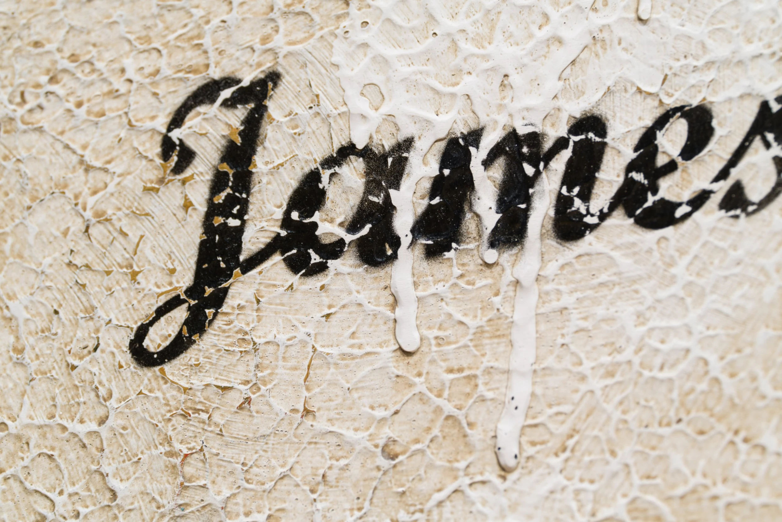 You Snooze You Lose 5 You Snooze You Lose - Image 5