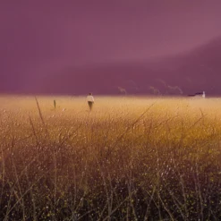 The Great Beyond -Art Prints Shop lco ori lan 29338 4 the great beyond 2022 10 17T13 27 09