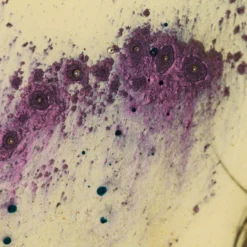 Deliciously Sore -Art Prints Shop maz ori por 08483 8 magenta ghost 2023 04 13T09 05 31