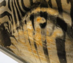 Amani 12 Amani -Art Prints Shop maz ori por 28234 5 amani 2022 05 24T10 46 05