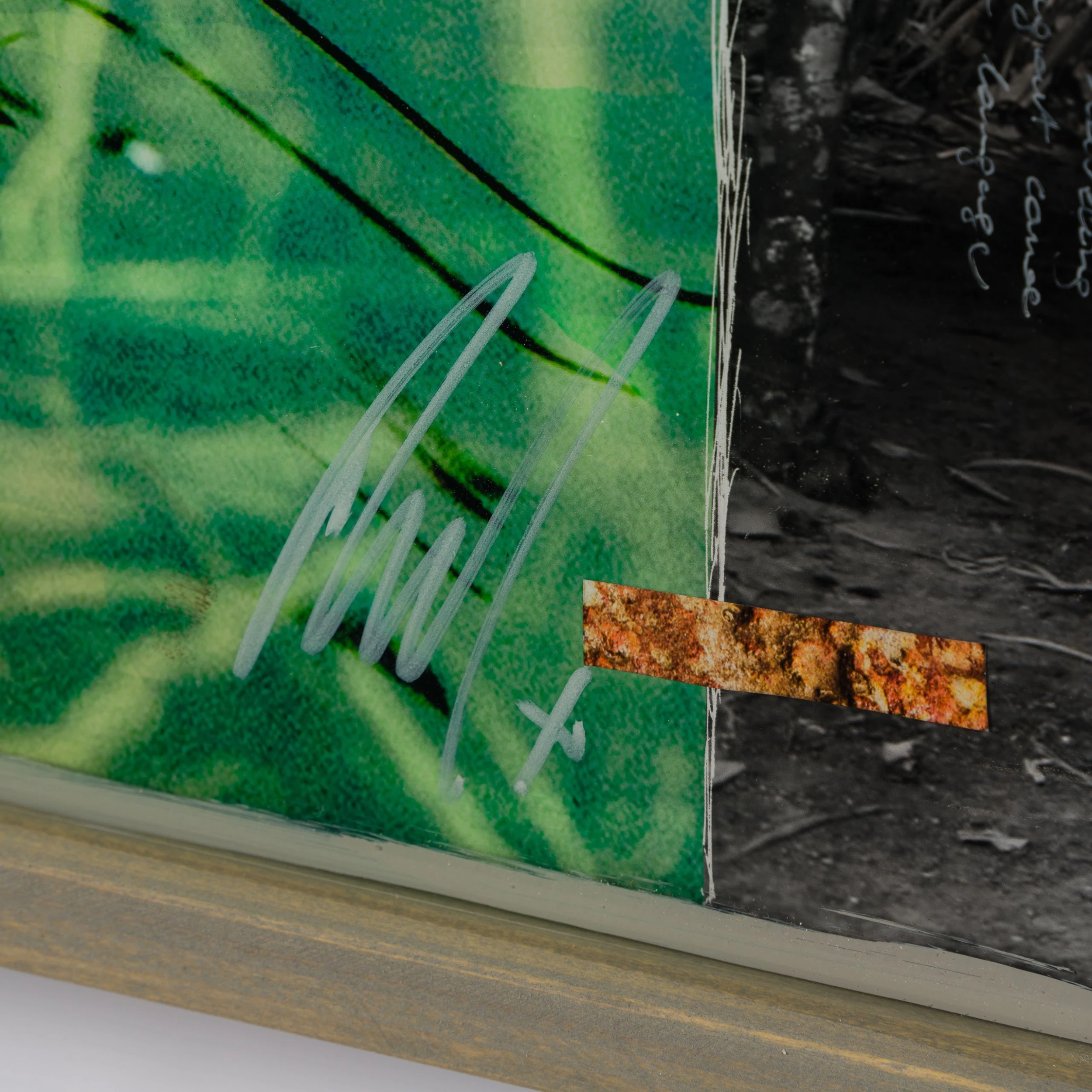 Paraíso (Paradise) 5 Paraíso (Paradise) - Image 5