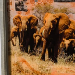 Kutoroka (Escape) -Art Prints Shop maz ori por 30618 6 kutoroka escape 2023 06 01T12 51 26