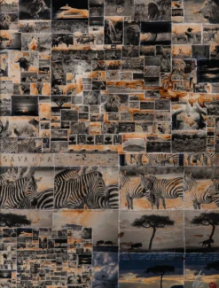 Kuhama (Migrate) -Art Prints Shop maz ori por 30630 31 kuhama migrate 2023 06 01T12 48 41