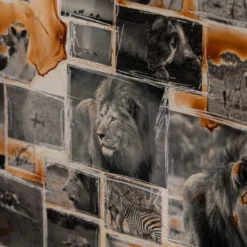 Kuhama (Migrate) -Art Prints Shop maz ori por 30630 7 kuhama migrate 2023 06 01T12 48 41