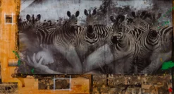 Zebras Unique Two -Art Prints Shop maz sle uni 31335 zebras unique 2 31 2023 06 20T14 21 54