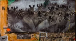 Zebras Unique Three -Art Prints Shop maz sle uni 31336 zebras unique 3 31 2023 06 20T14 17 53