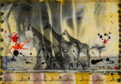 Behind These Eyes Unique Four -Art Prints Shop maz sle uni 31352 behind these eyes unique 4 31 2023 06 20T13 23 35