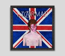 David Bowie - Starman (120)