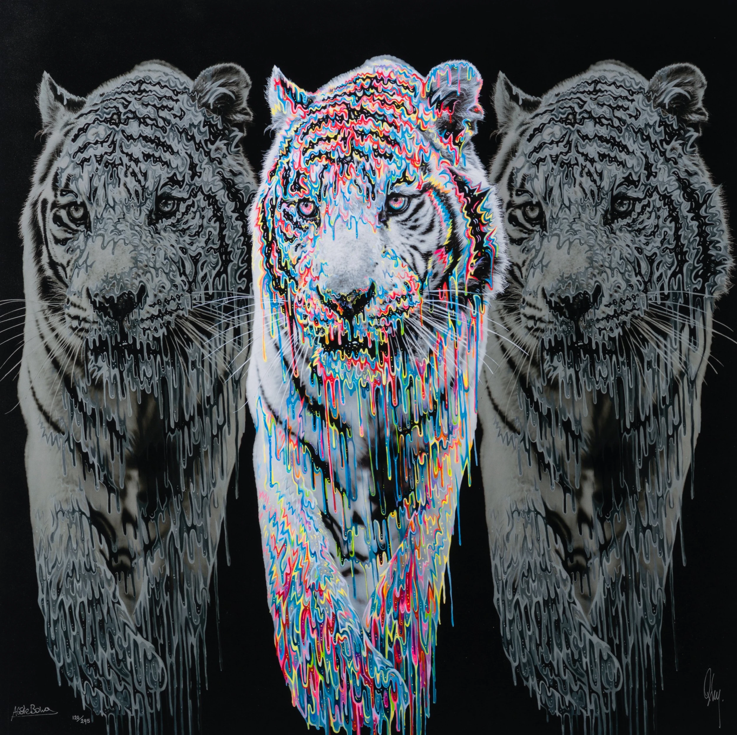 Baikal 9 Baikal - Image 9