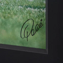 New York Cosmos (Silver Gelatin 40x60) -Art Prints Shop pel sle por 05050 3 new york cosmo 30x40 2023 02 09T15 14 06 2