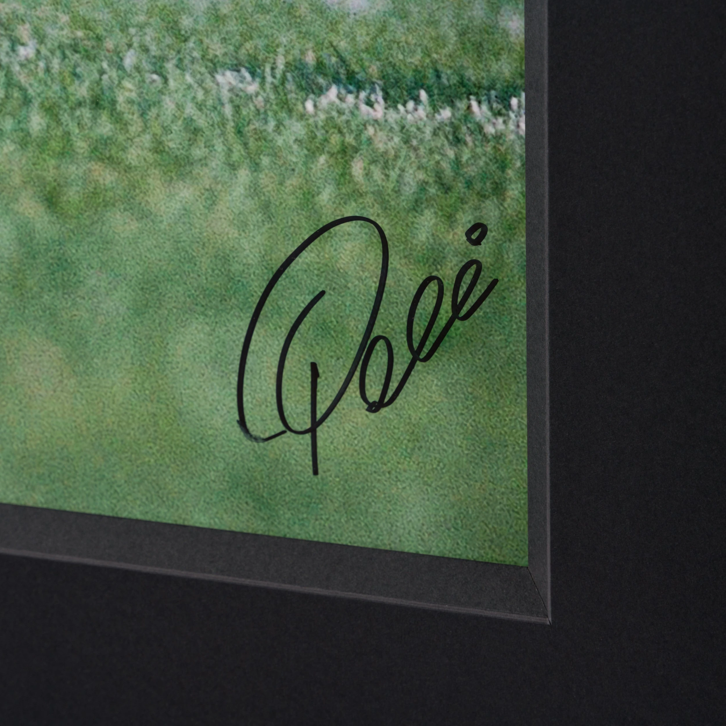 New York Cosmos (Silver Gelatin 30x40) 3 New York Cosmos (Silver Gelatin 30x40) - Image 3