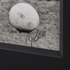 Unstoppable! (Silver Gelatin 40x60) -Art Prints Shop pel sle por 05065 3 unstoppable 30x40 2023 02 09T16 25 33