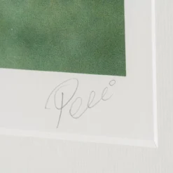 New York Cosmos -Art Prints Shop pel sle por 07040 3 new york cosmos 2023 03 01T14 40 07