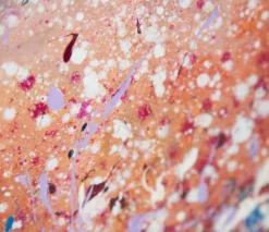 Forests Of The Night [Triptych] -Art Prints Shop sra ori lan 25821 4 forests of the night triptych 2021 08 25T08 42 43