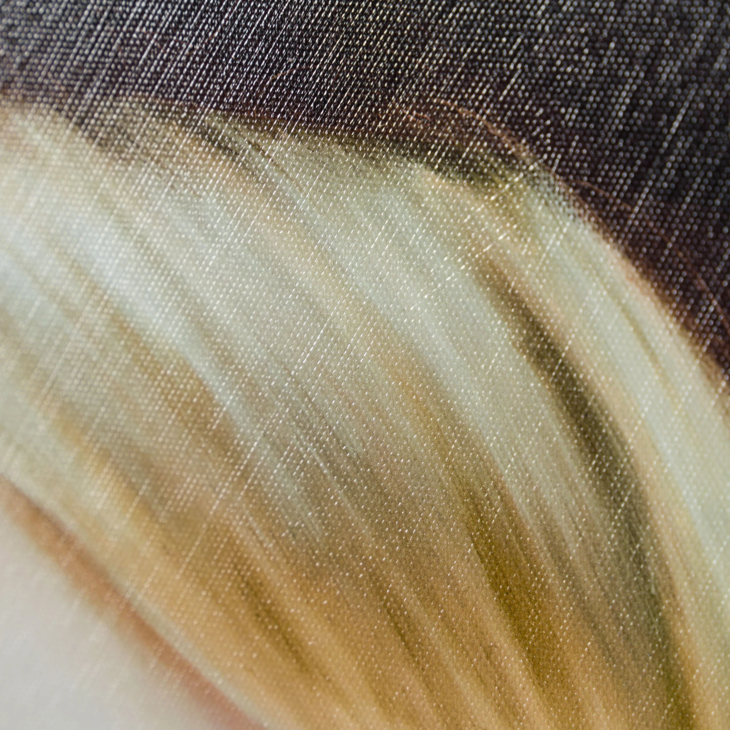 Emmeline 7 Emmeline - Image 7