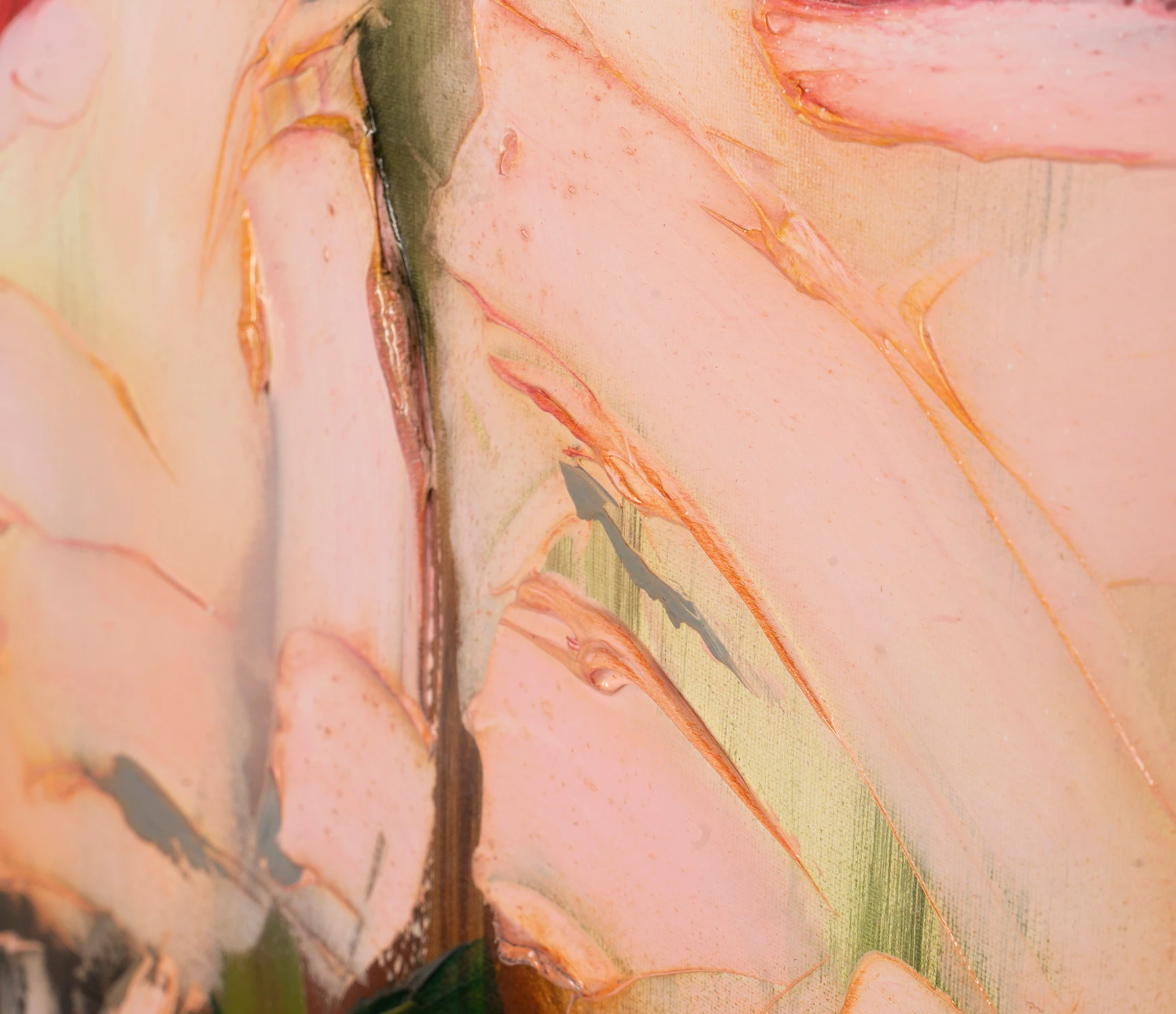 Rosa Gratiam II 8 Rosa Gratiam II - Image 8