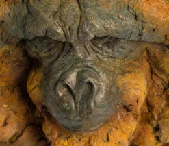 Wisdom Of The Forest, Orangutan -Art Prints Shop swi gorilla 218 2 2022 10 19T11 27 05