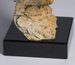 Wisdom Of The Forest, Orangutan -Art Prints Shop swi gorilla 218 5 2022 10 19T11 27 06