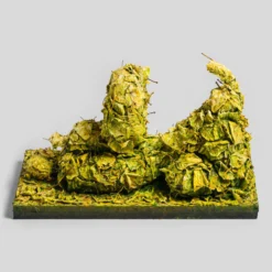 Happy Leaf Dog -Art Prints Shop whn ori por 31142 happy leaf dog 5 2023 07 12T12 35 41